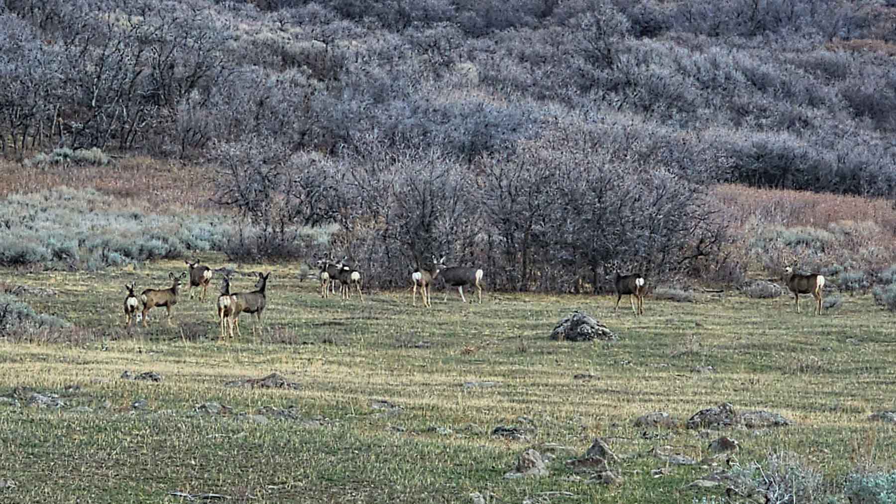 Cottonwood Ranch property picture 9 of 29