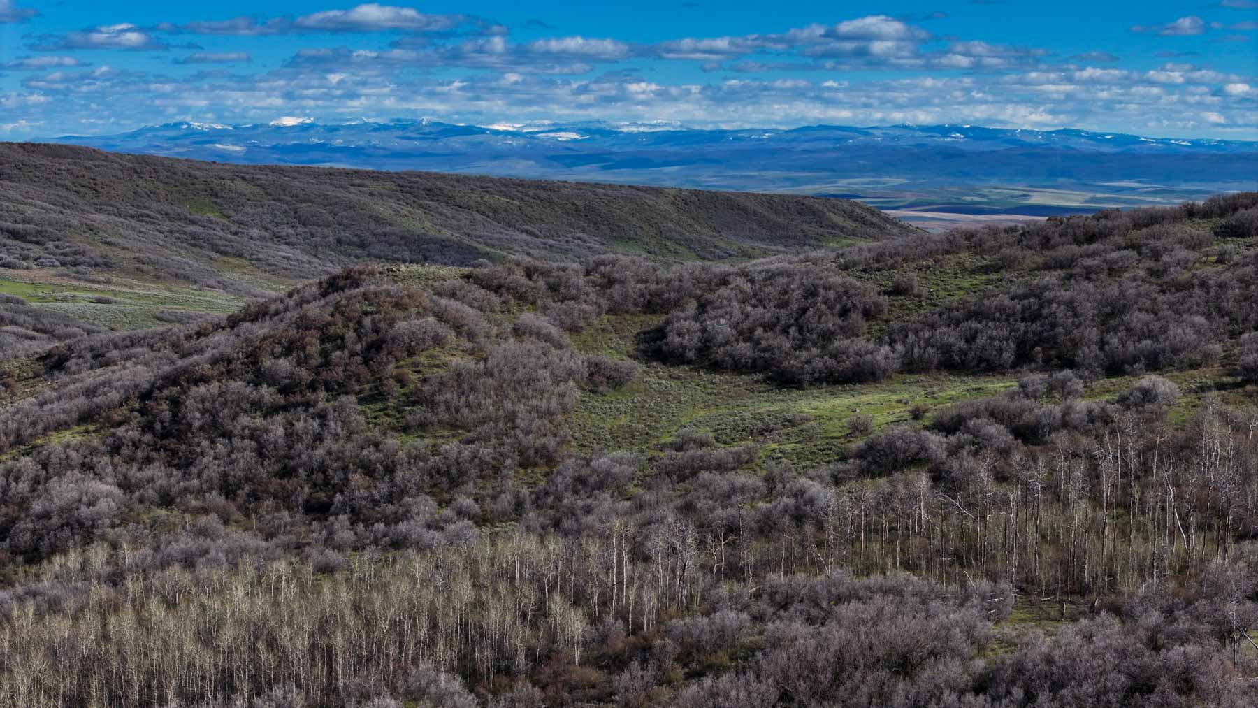 Cottonwood Ranch property picture 17 of 52