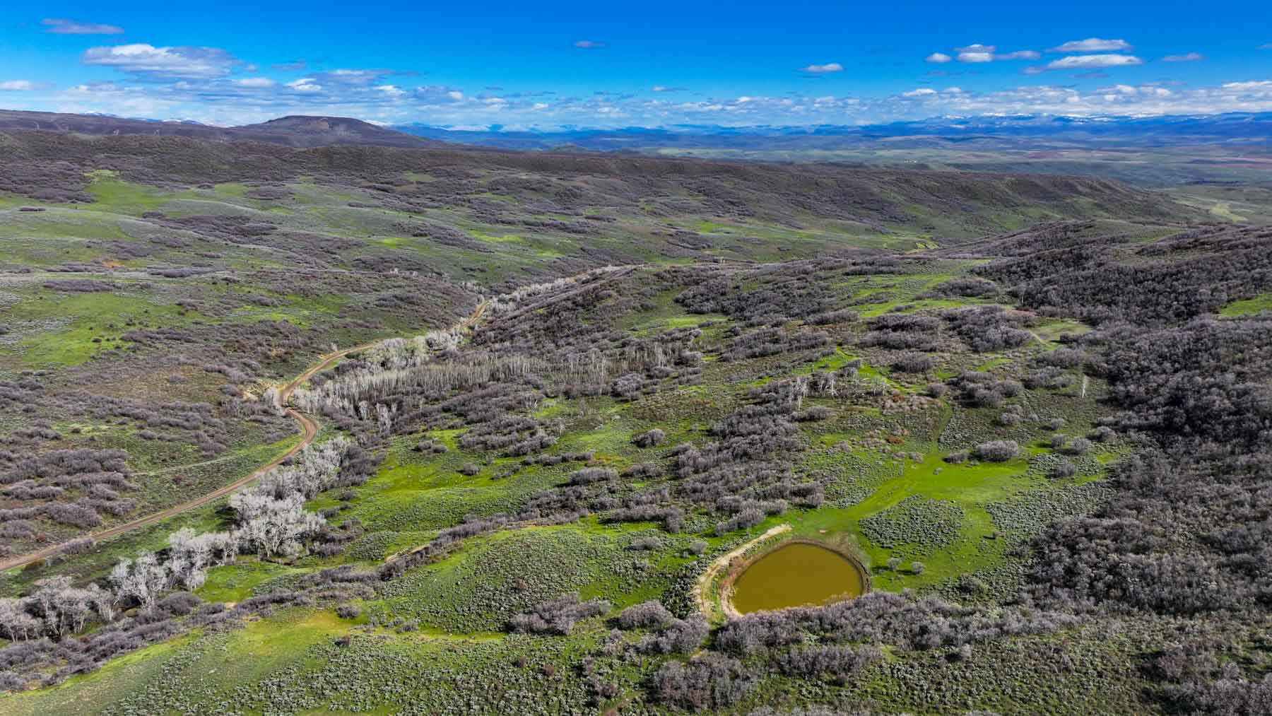 Cottonwood Ranch property picture 12 of 52