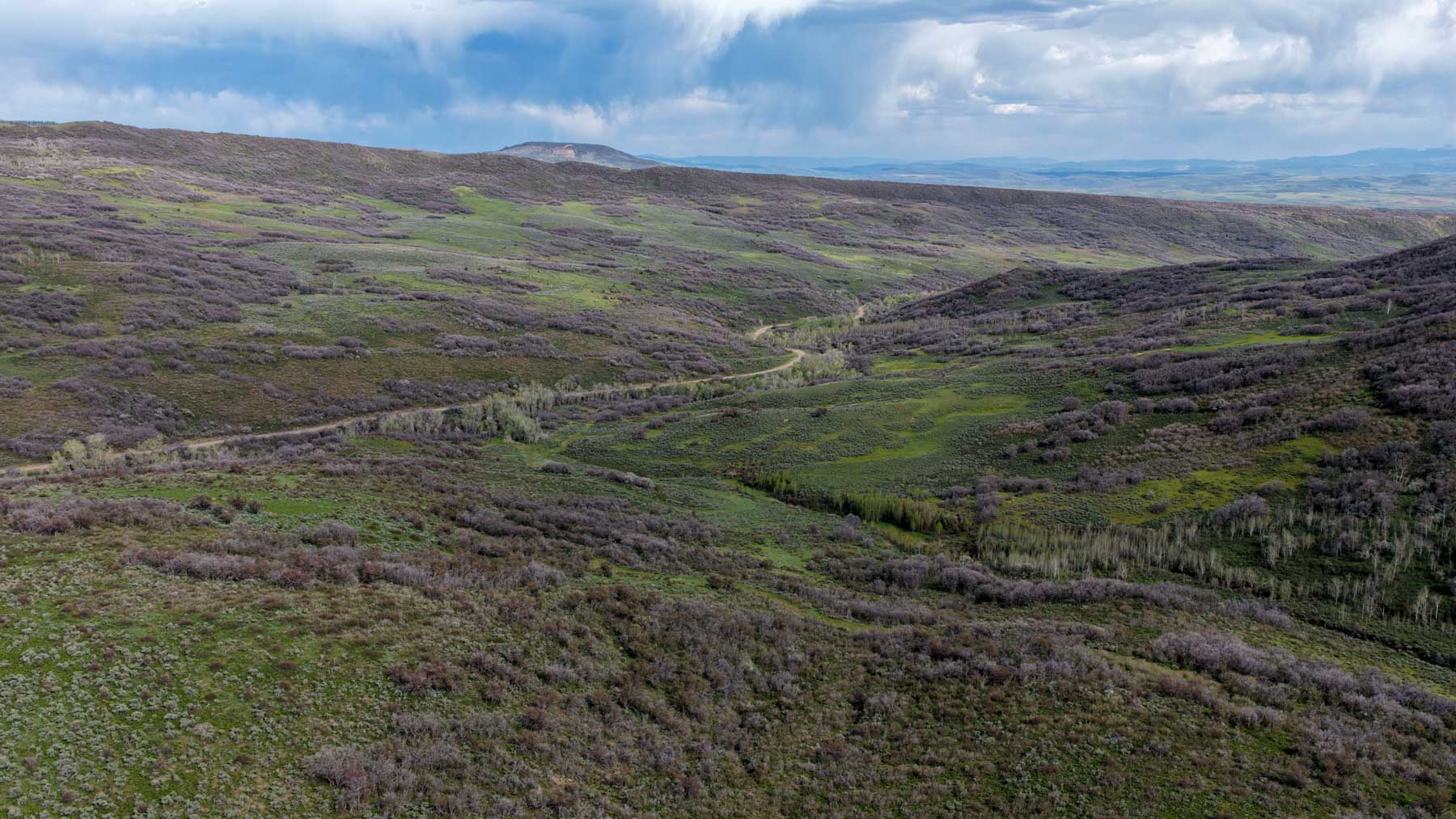 Cottonwood Ranch property picture 41 of 52