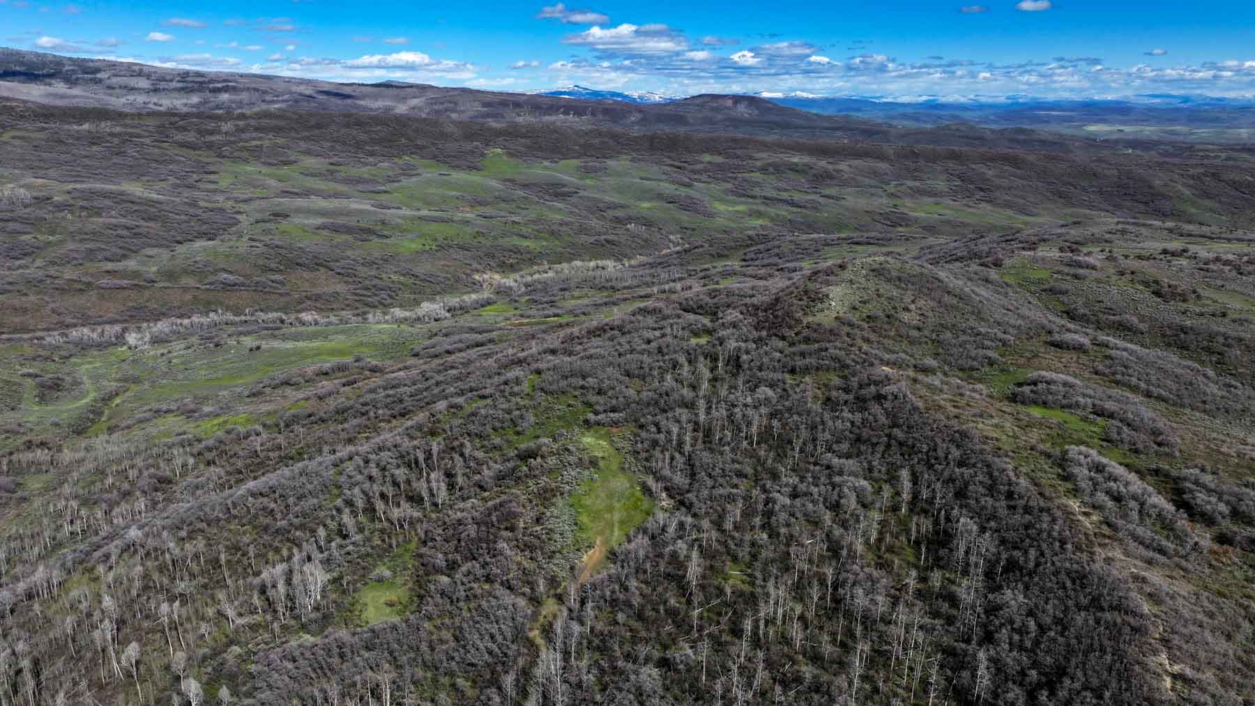 Cottonwood Ranch property picture 9 of 52