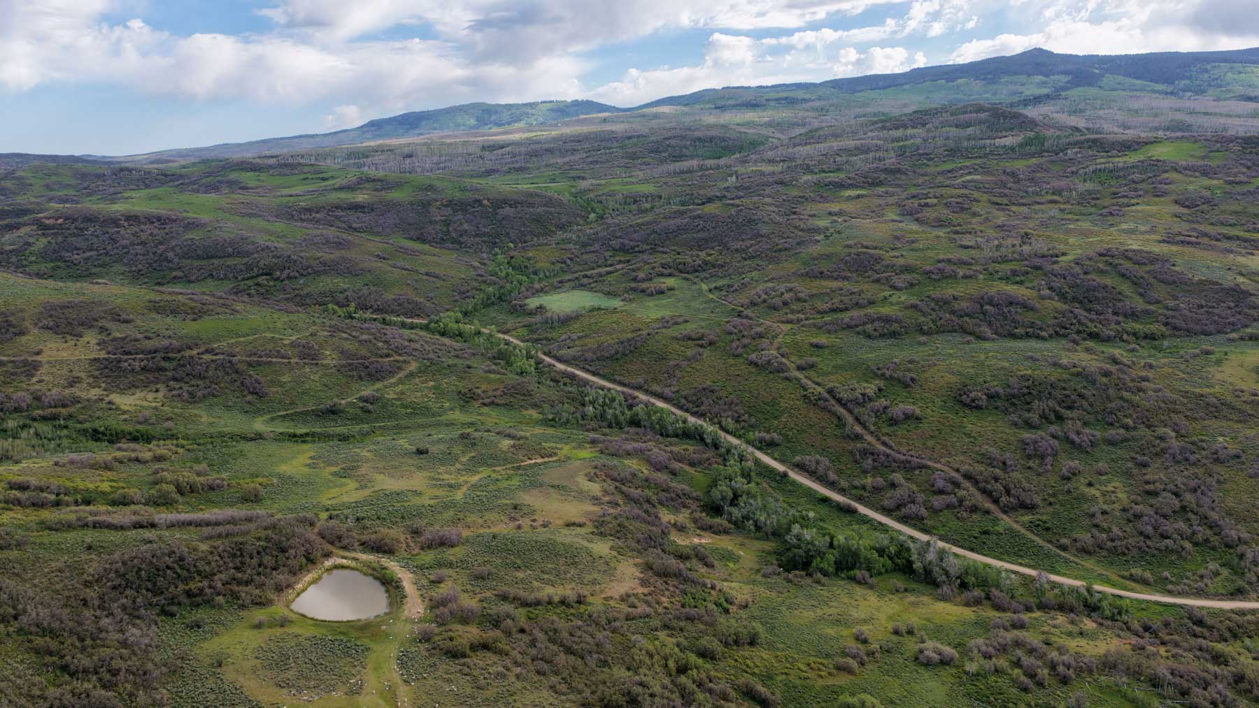 Cottonwood Ranch property picture 58 of 65