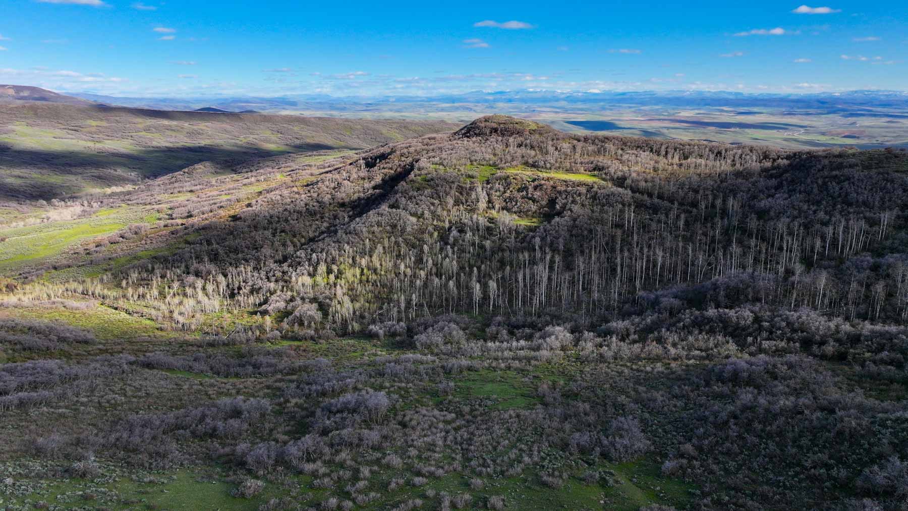 Cottonwood Ranch property picture 24 of 52