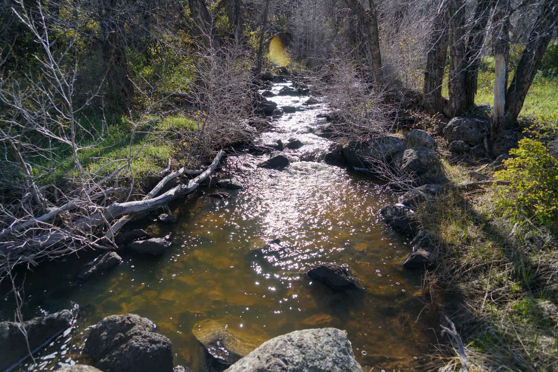 Cottonwood Ranch property picture 10 of 29