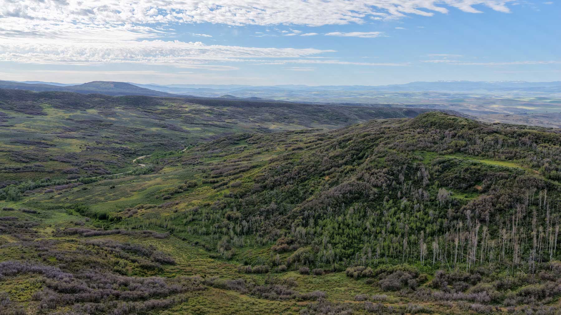 Cottonwood Ranch property picture 60 of 65
