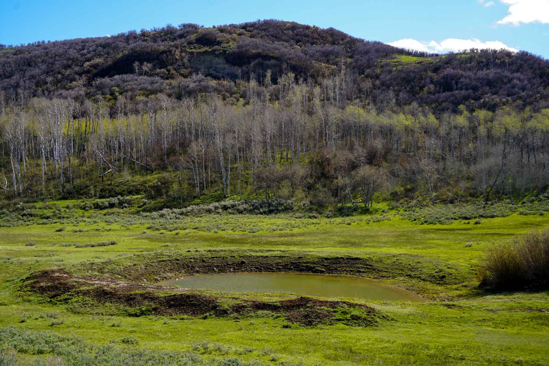 Cottonwood Ranch property picture 29 of 52