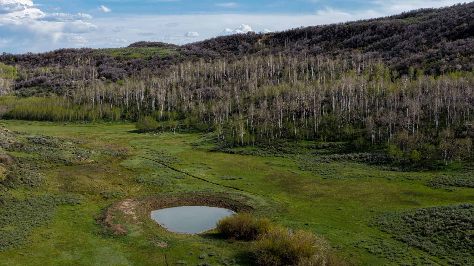 Cottonwood Ranch property picture 47 of 52