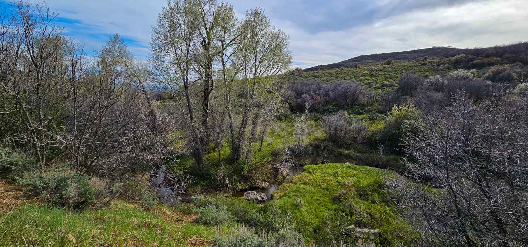 Cottonwood Ranch property picture 34 of 52