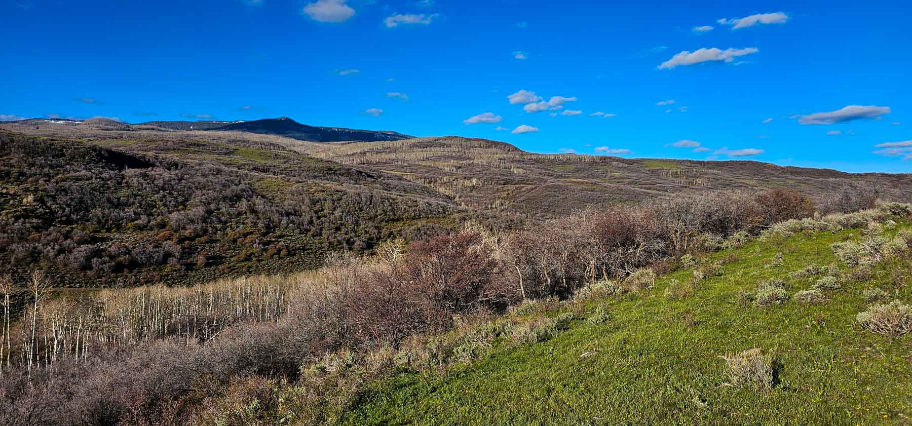 Cottonwood Ranch property picture 2 of 52