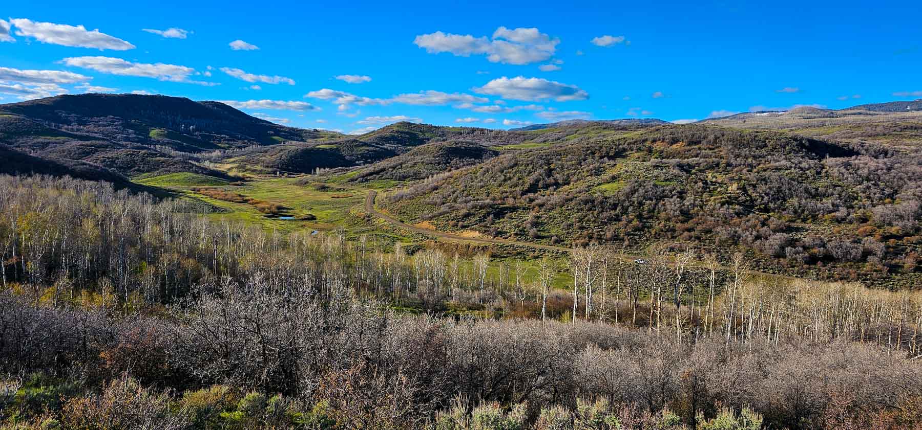 Cottonwood Ranch property picture 1 of 52