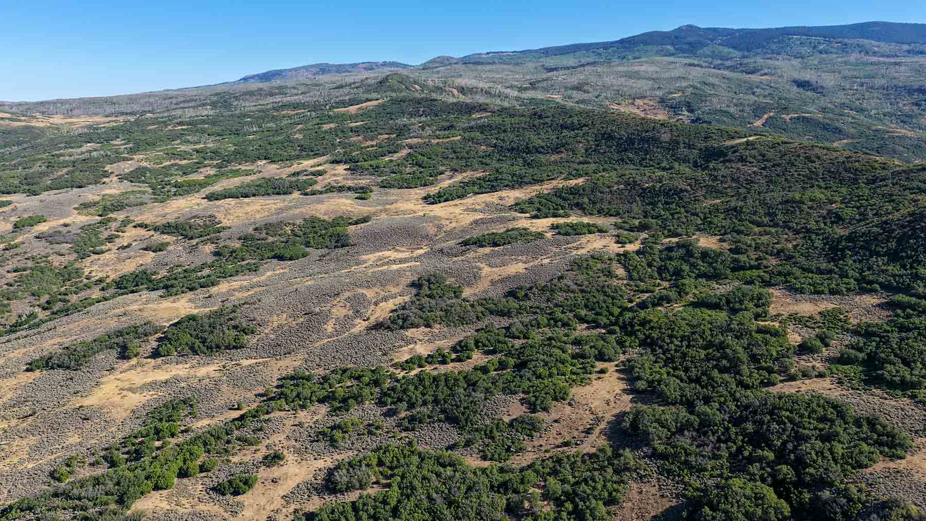 Cottonwood Ranch property picture 23 of 29