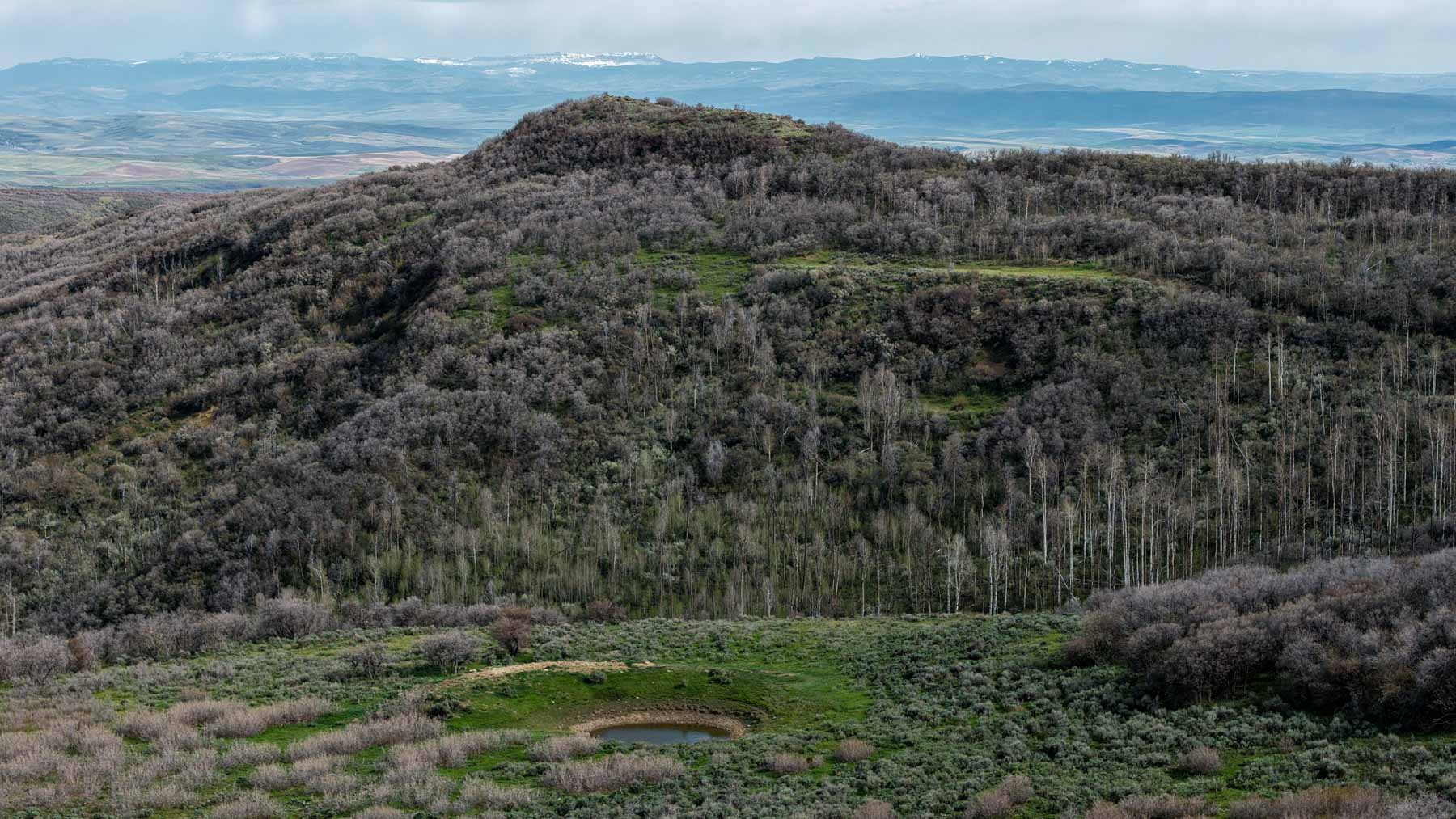 Cottonwood Ranch property picture 38 of 52