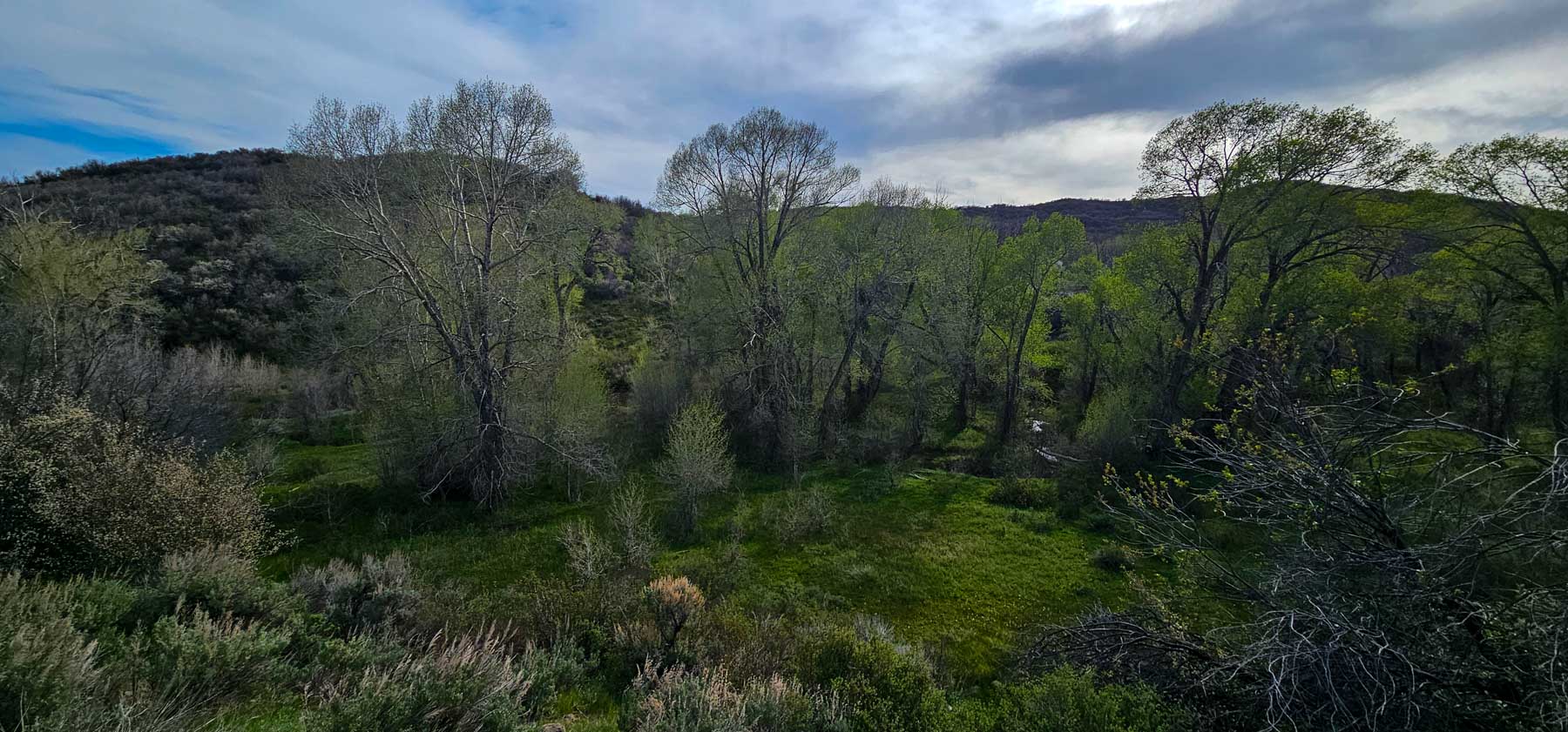 Cottonwood Ranch property picture 33 of 52