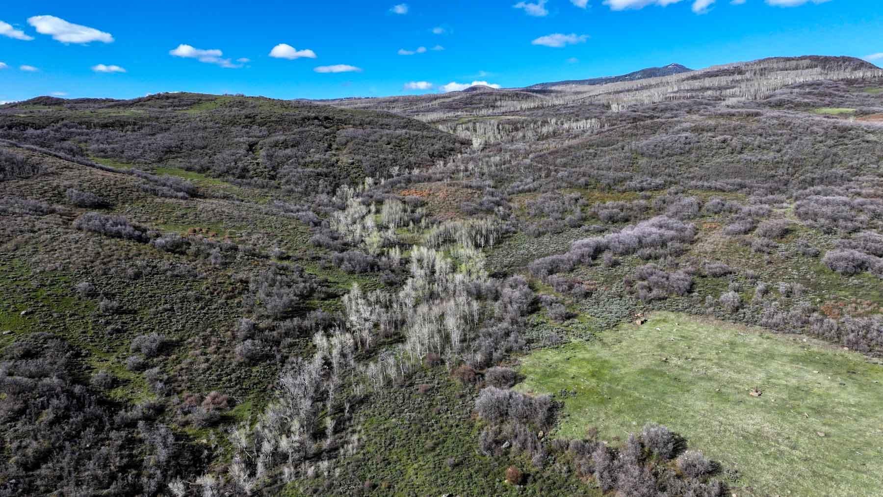 Cottonwood Ranch property picture 15 of 52