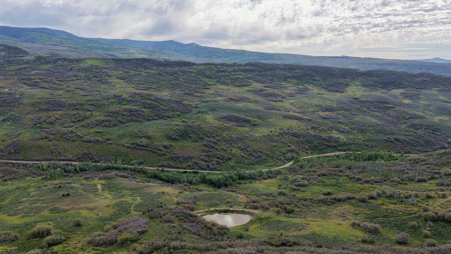 Cottonwood Ranch property picture 59 of 65