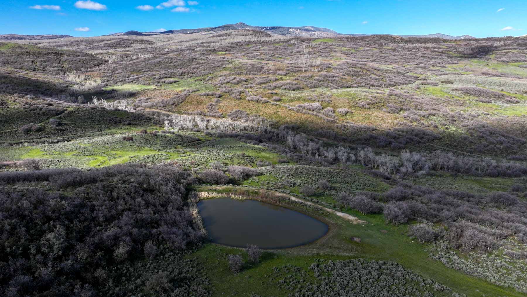 Cottonwood Ranch property picture 18 of 52