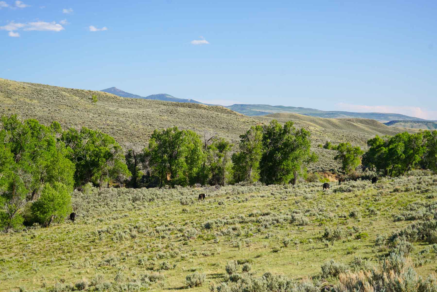 Banjo Ranch Basin East property picture 3 of 4