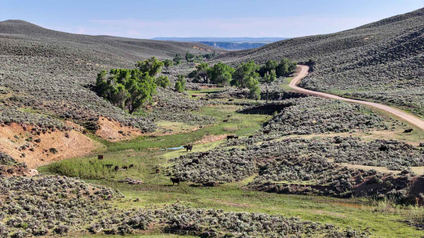 Banjo Ranch Basin East property picture 1 of 4