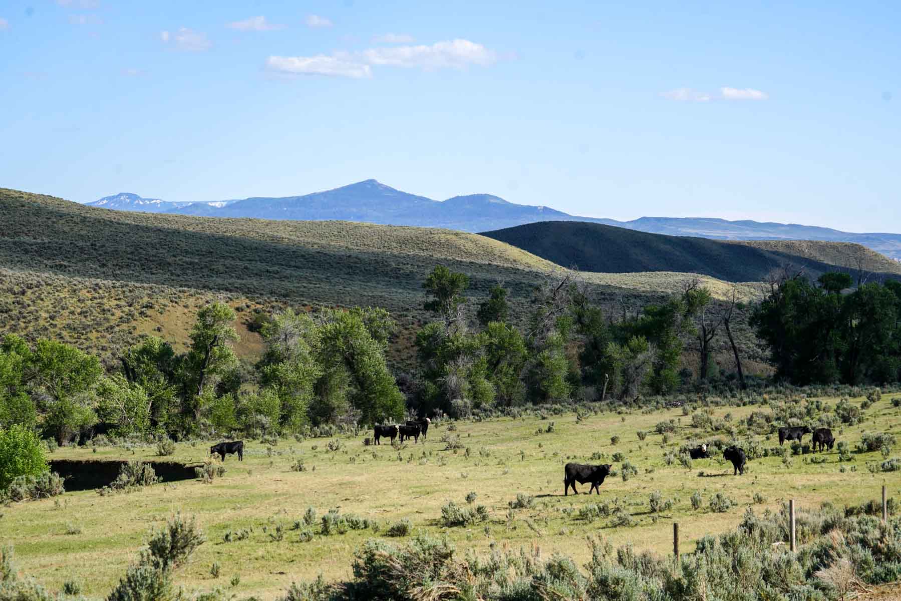 Banjo Ranch Basin East property picture 2 of 4
