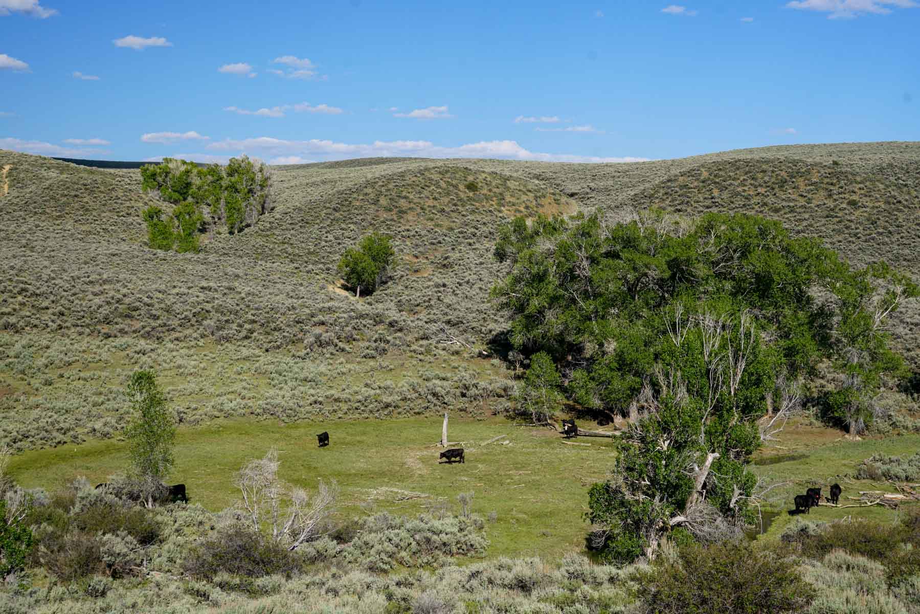 Banjo Ranch Basin East property picture 4 of 4