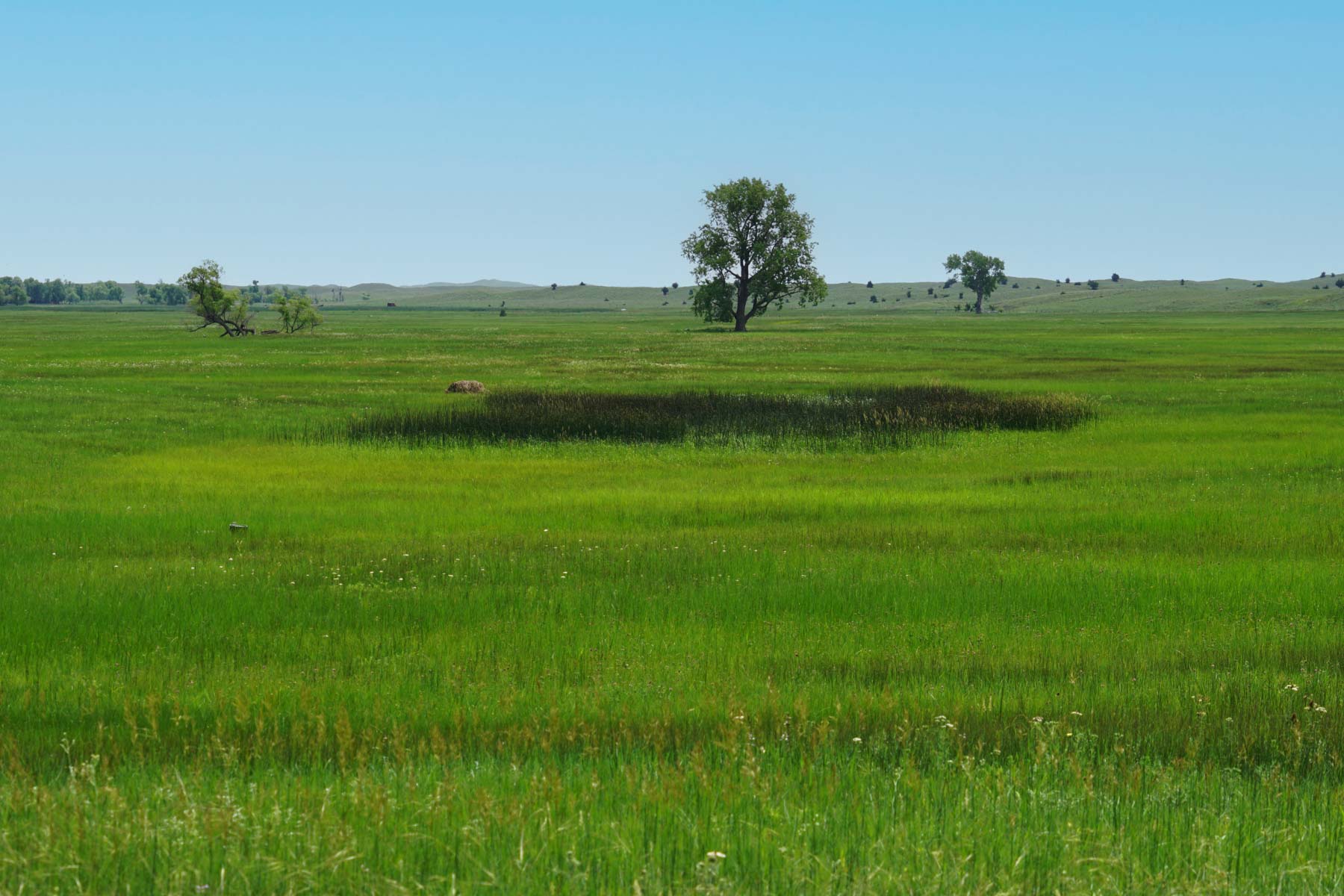 Paramount Valley Ranch property picture 14 of 41