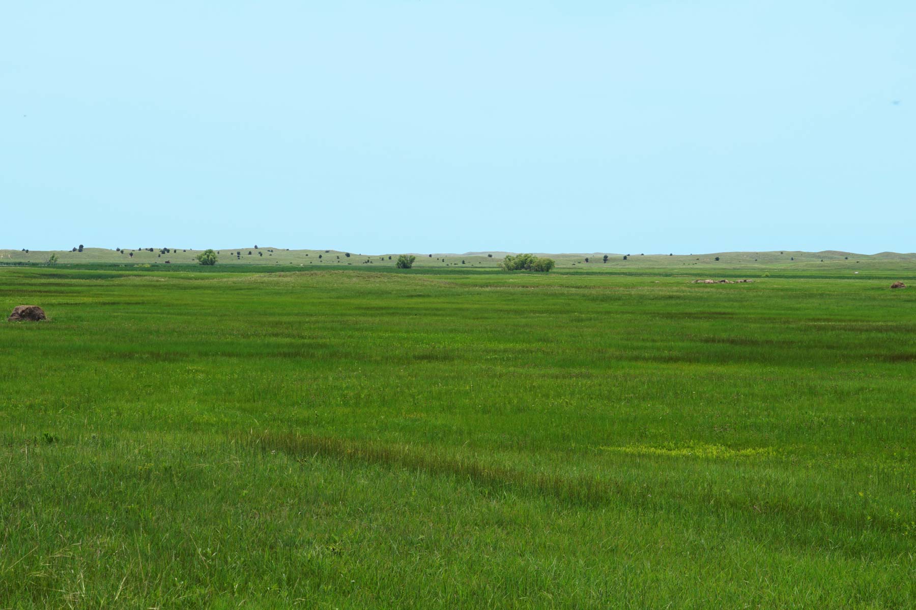 Paramount Valley Ranch property picture 32 of 41