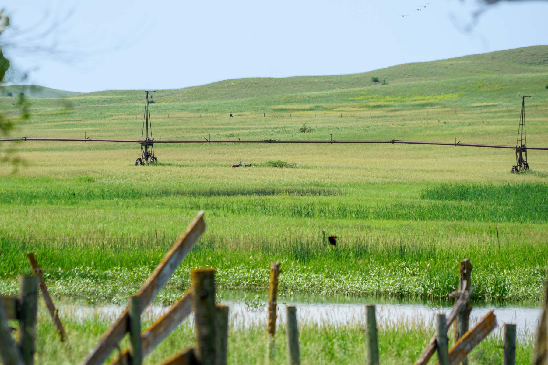 Paramount Valley Ranch property picture 28 of 41