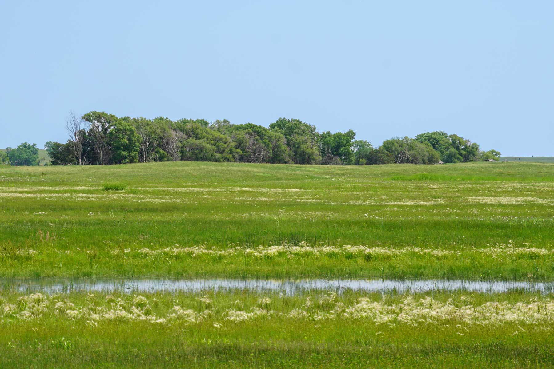 Paramount Valley Ranch property picture 22 of 41