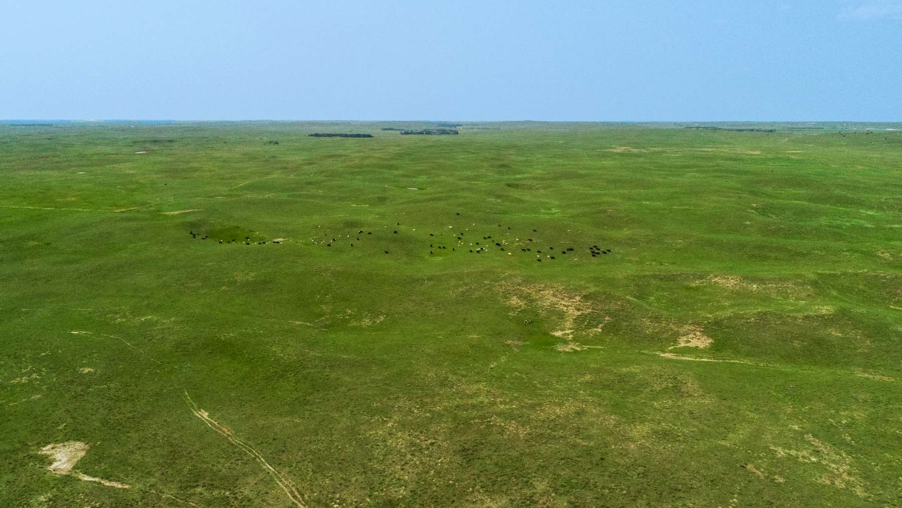 Paramount Valley Ranch property picture 34 of 41