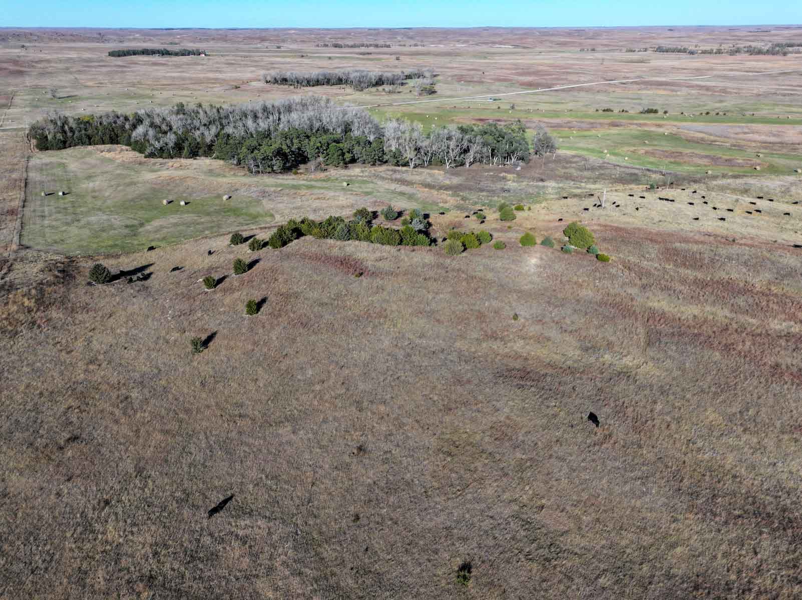 Paramount Valley Ranch property picture 20 of 41