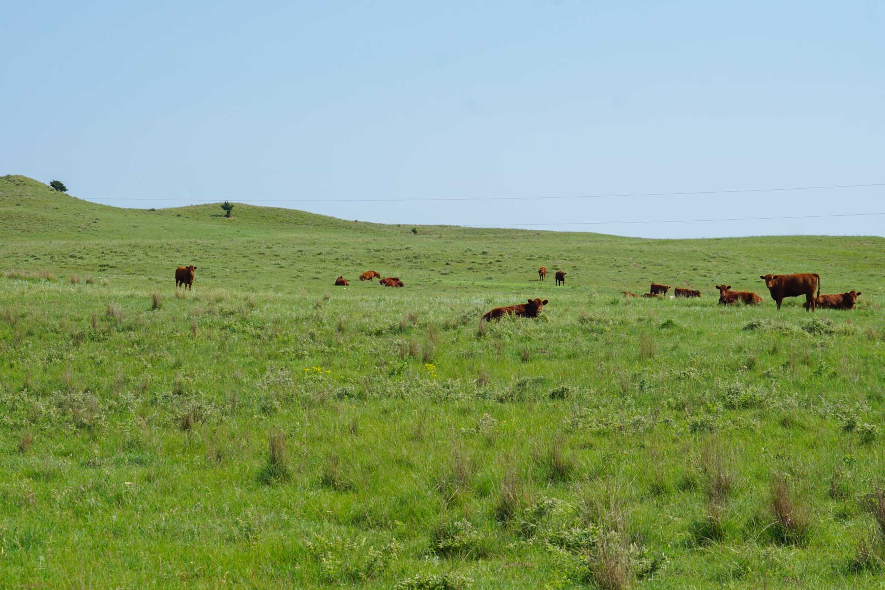 Paramount Valley Ranch property picture 23 of 41