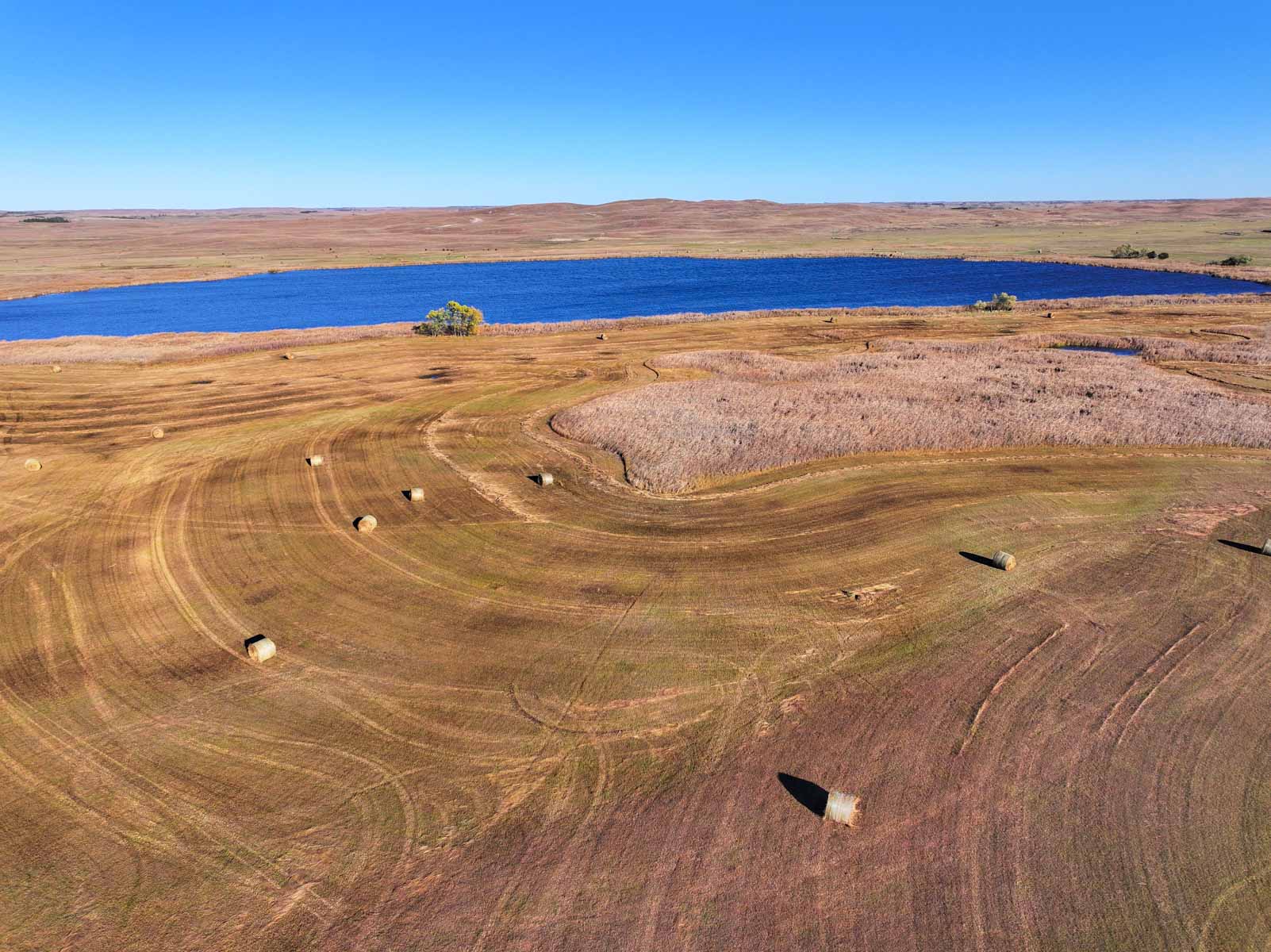 Paramount Valley Ranch property picture 8 of 41