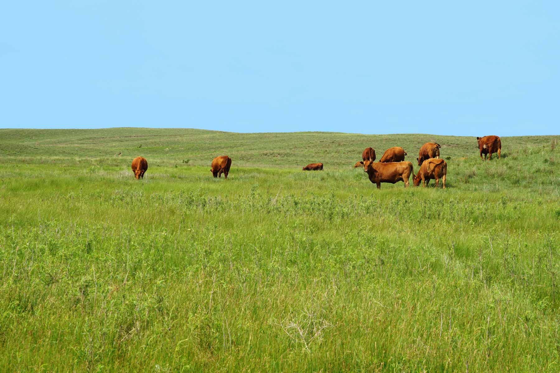 Paramount Valley Ranch property picture 3 of 41