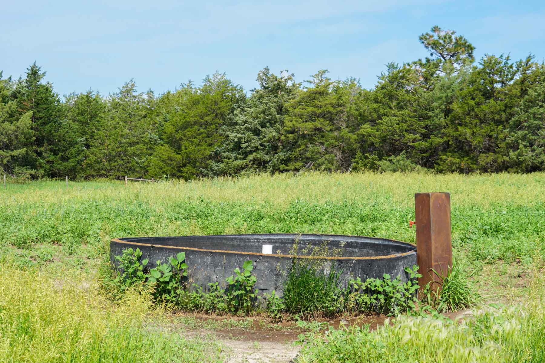 Paramount Valley Ranch property picture 13 of 41