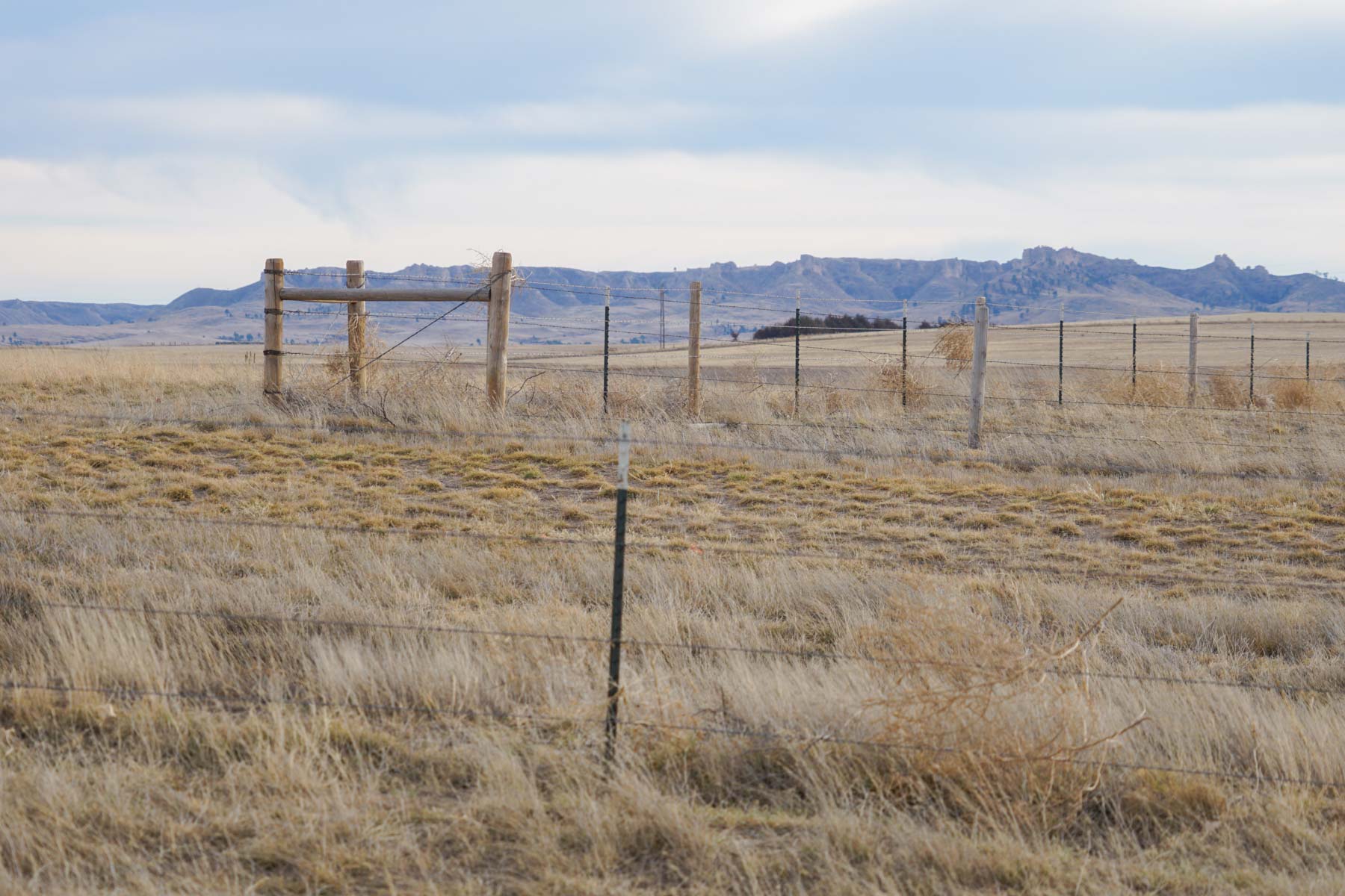 Whitney Ranch property picture 4 of 30