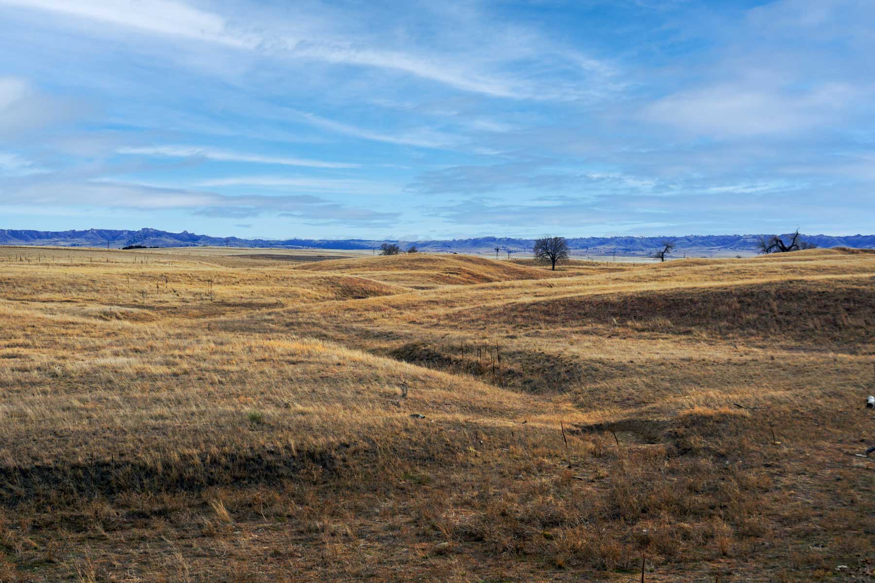 Whitney Ranch property picture 19 of 30