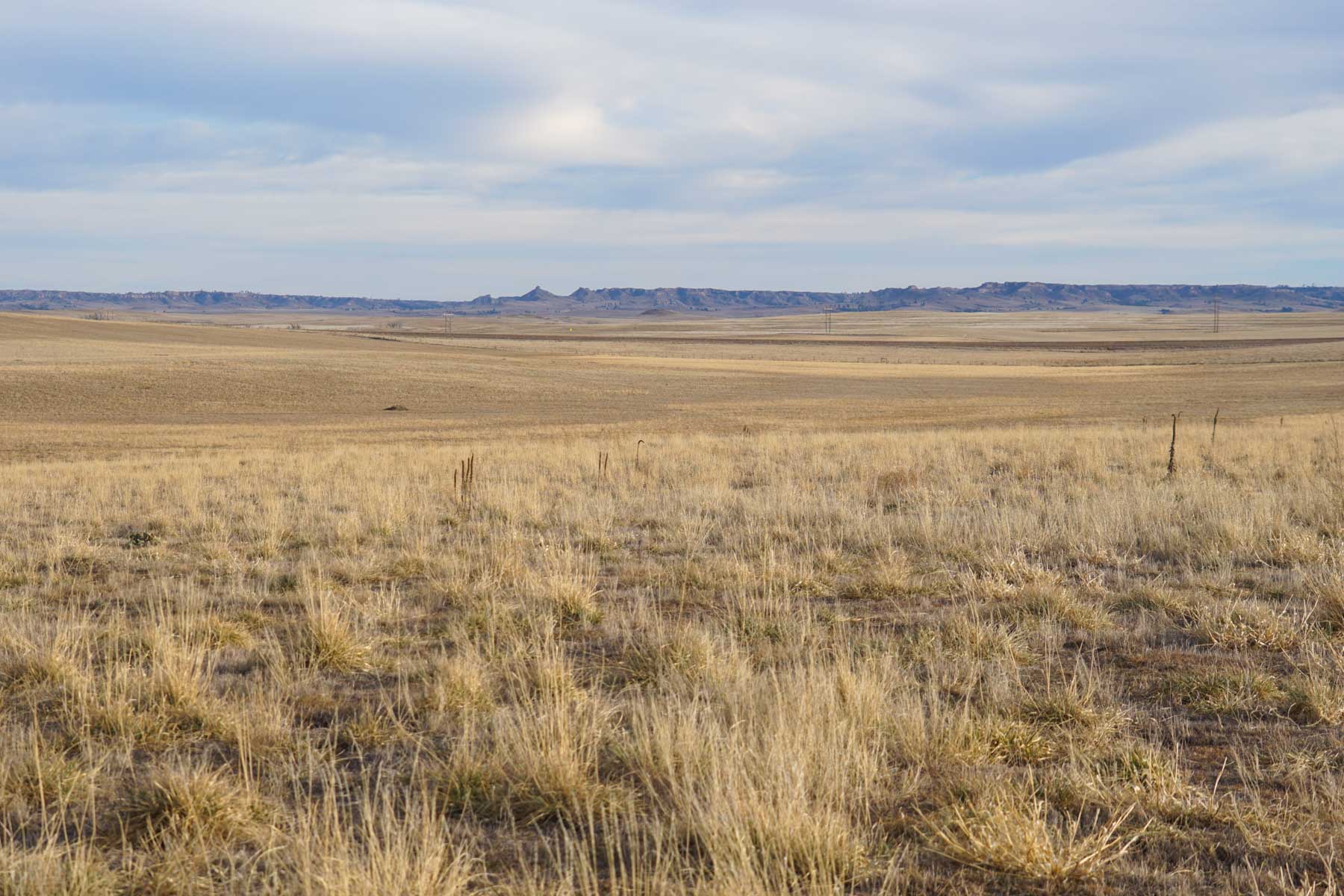 Whitney Ranch property picture 5 of 30