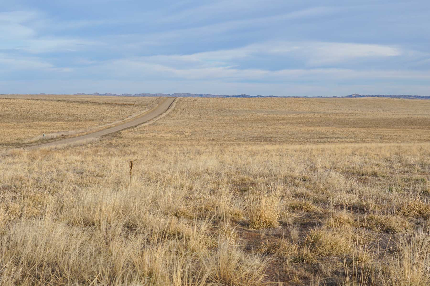 Whitney Ranch property picture 9 of 30