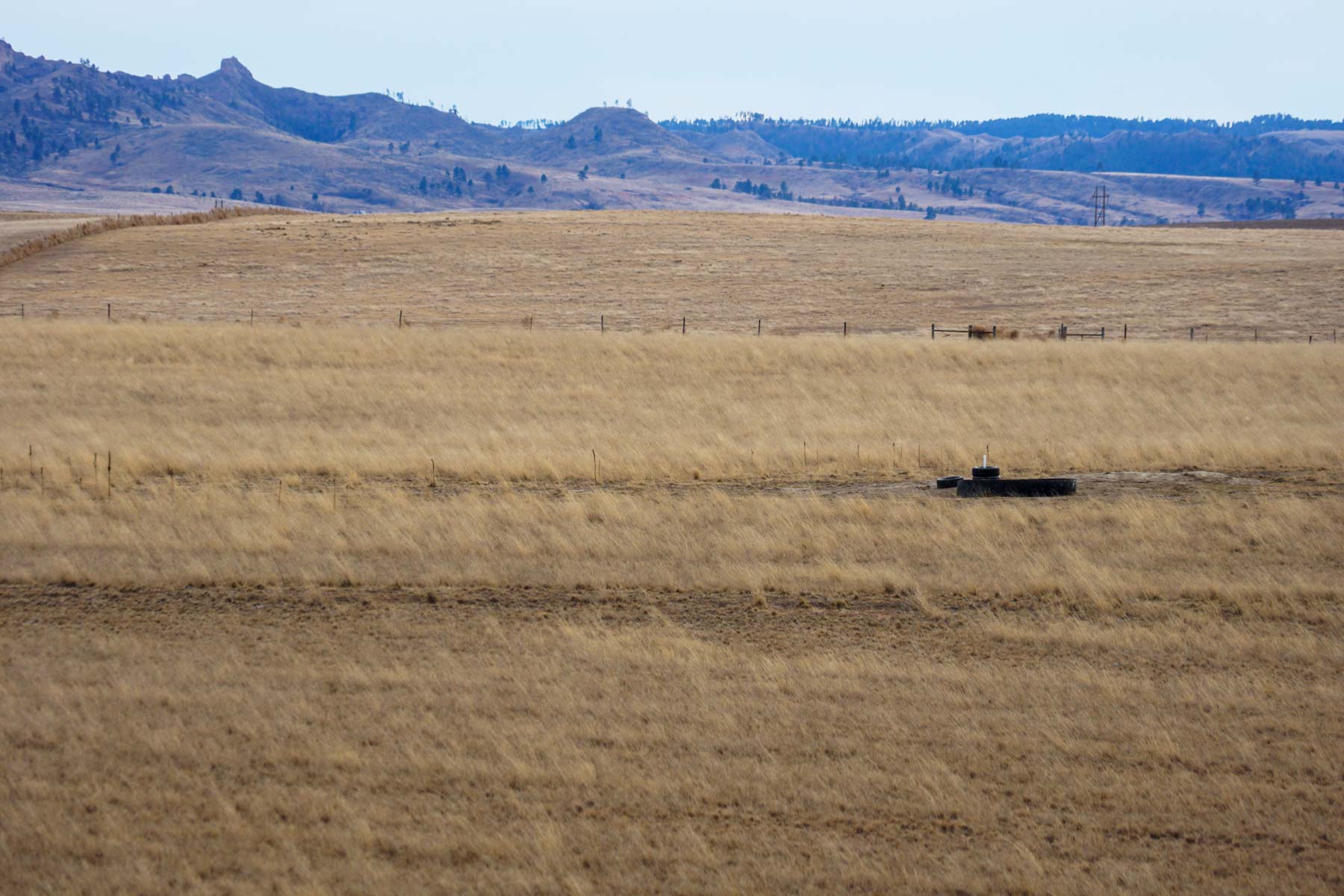 Whitney Ranch property picture 16 of 30