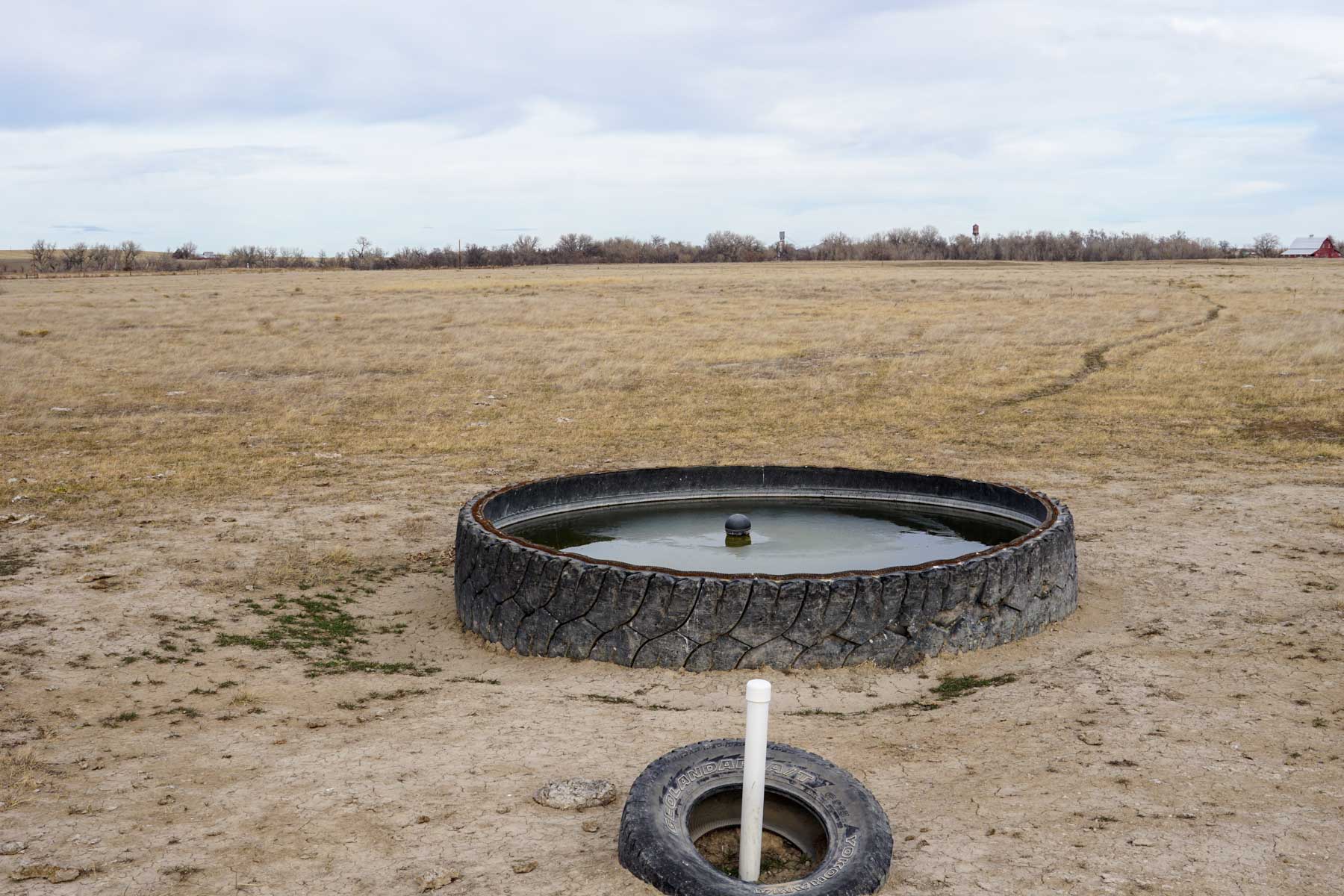 Whitney Ranch property picture 14 of 30