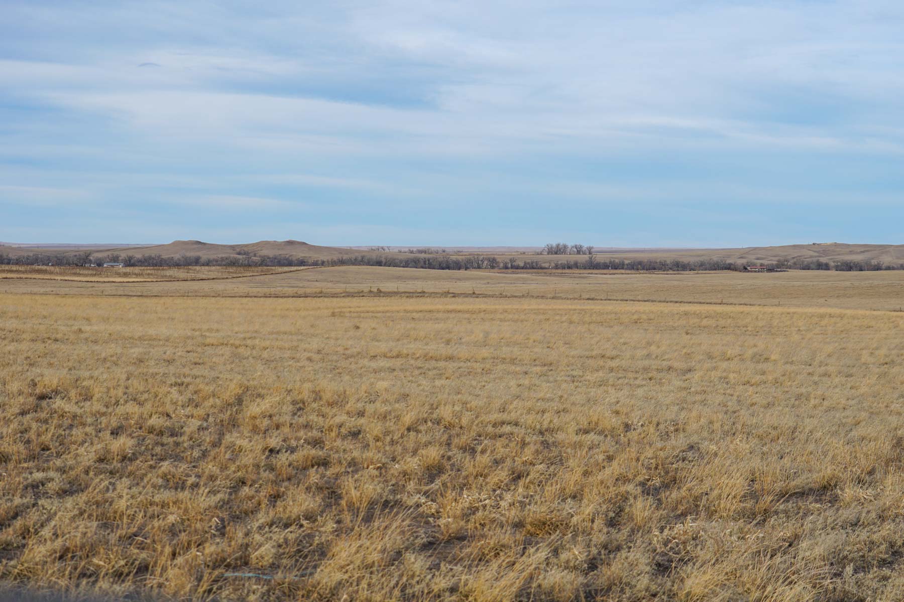 Whitney Ranch property picture 28 of 30