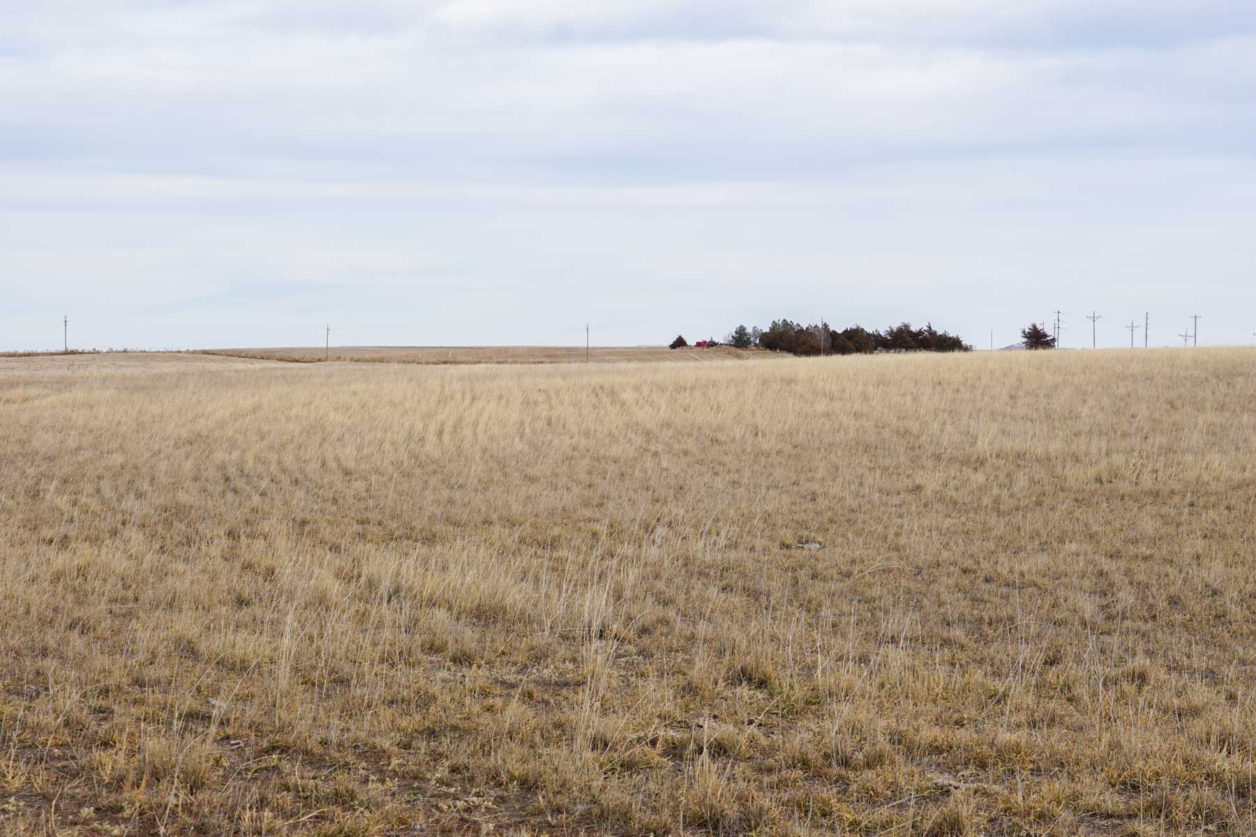 Whitney Ranch property picture 15 of 30