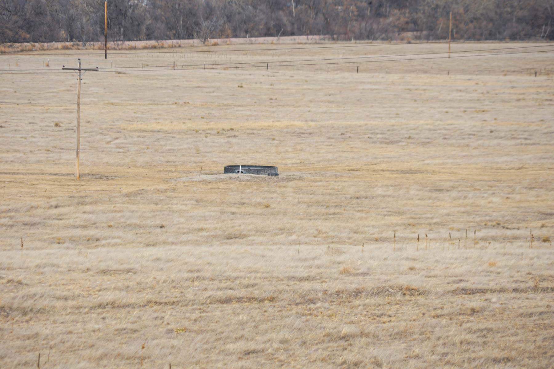 Whitney Ranch property picture 29 of 30