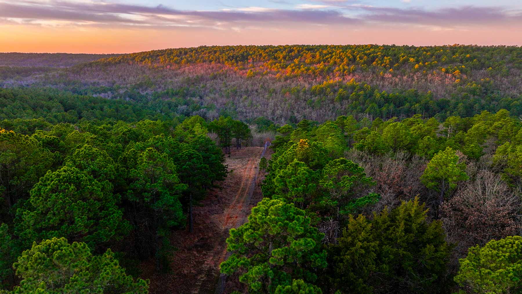 Five Stone Ranch property picture 52 of 88
