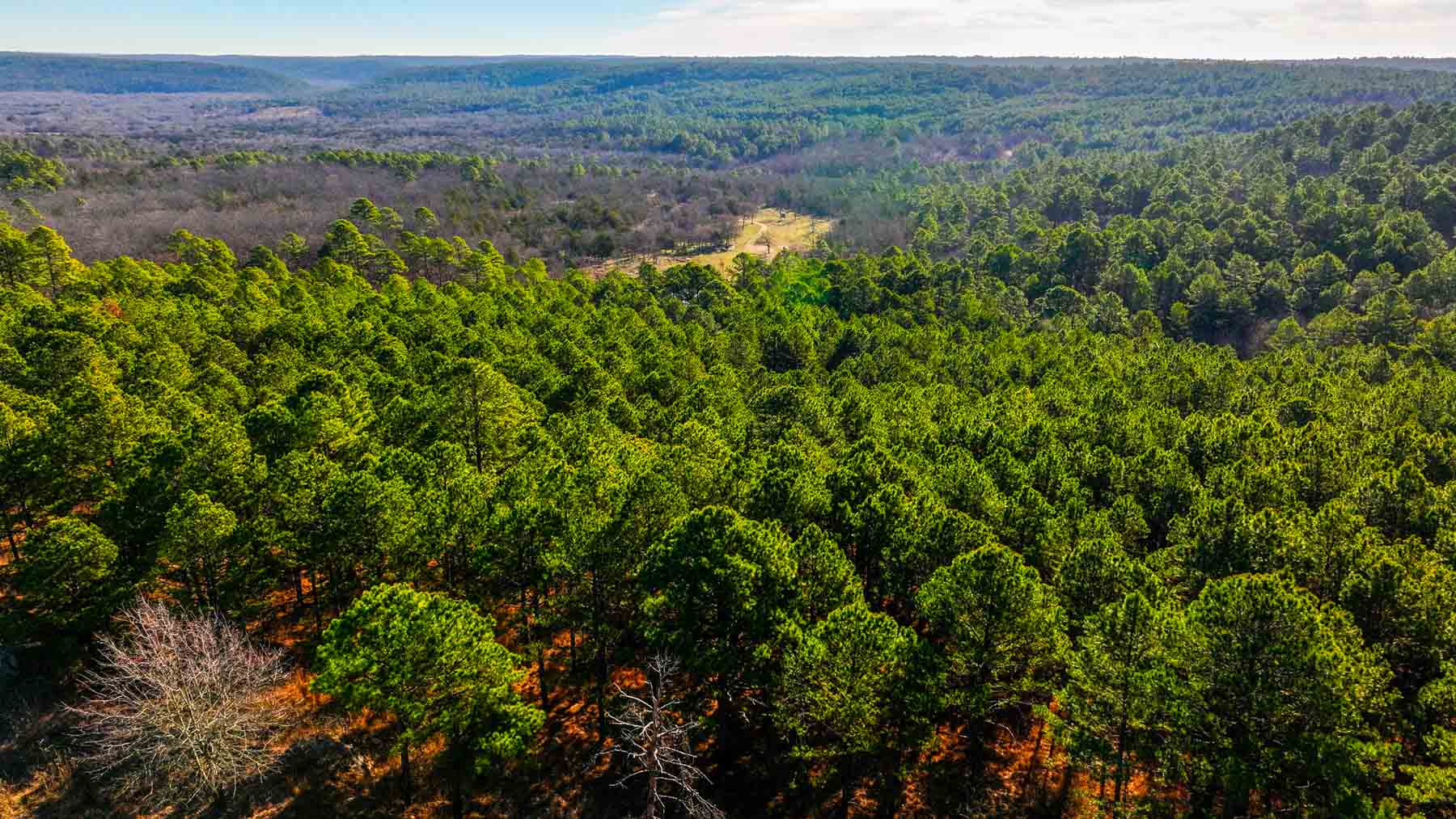 Five Stone Ranch property picture 54 of 88