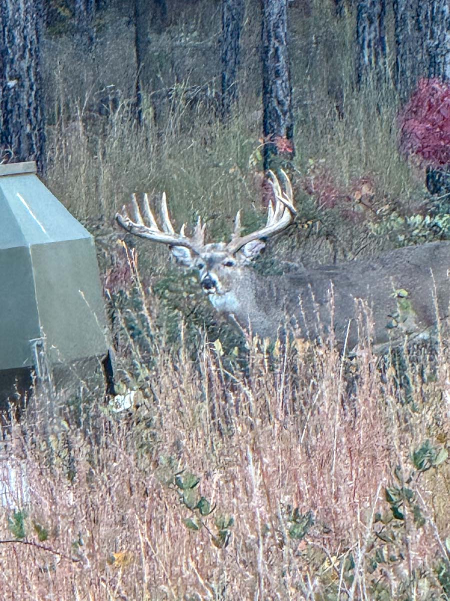 Five Stone Ranch property picture 55 of 88