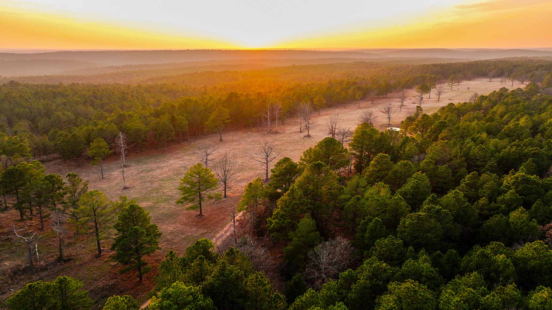 Five Stone Ranch property picture 3 of 88