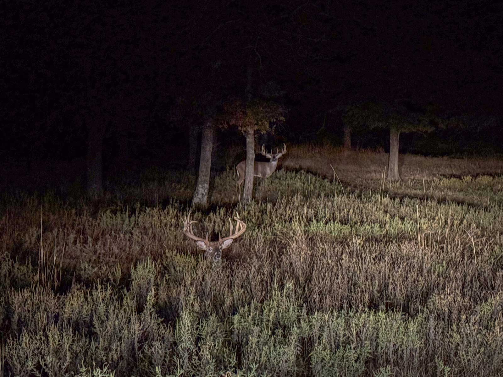 Five Stone Ranch property picture 58 of 88