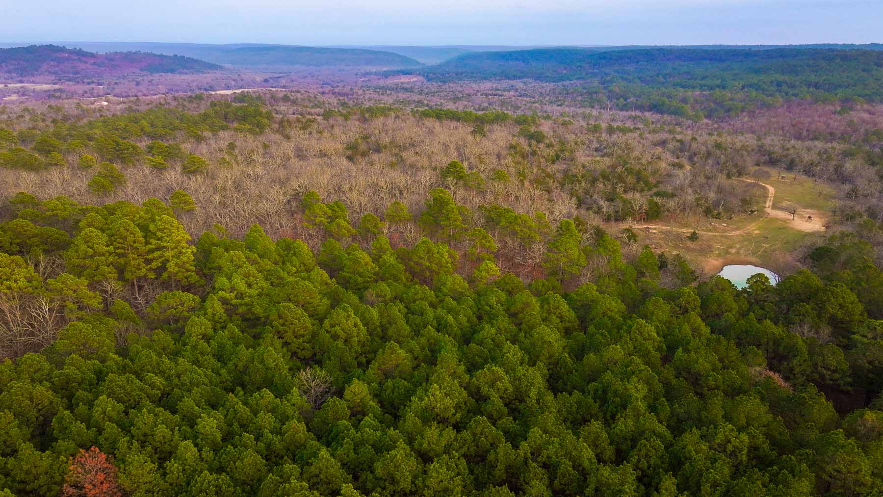 Five Stone Ranch property picture 47 of 88