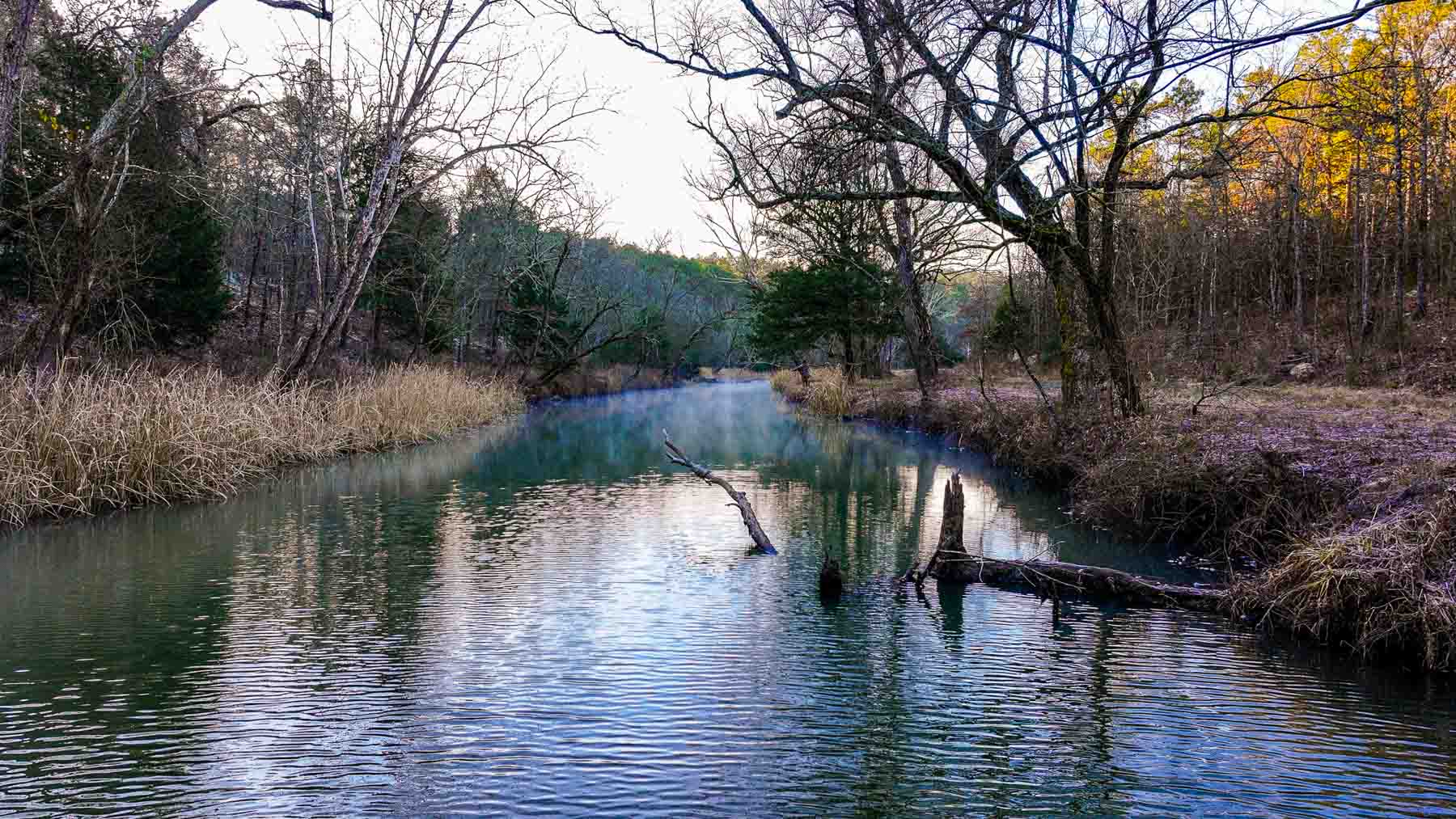 Five Stone Ranch property picture 53 of 88